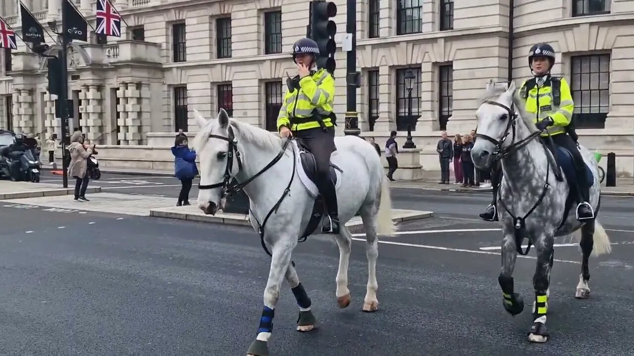 mind your backs #horseguardsparade