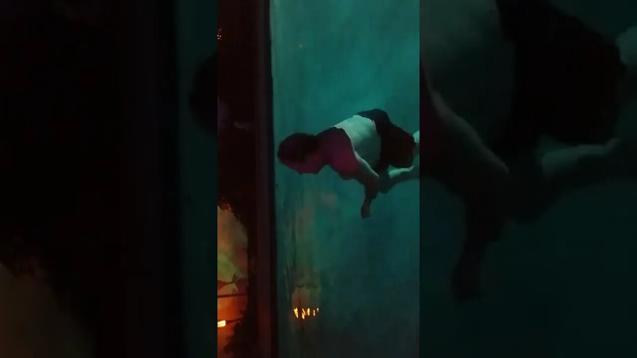 BBLIVE1969 VARIETY show August 19th