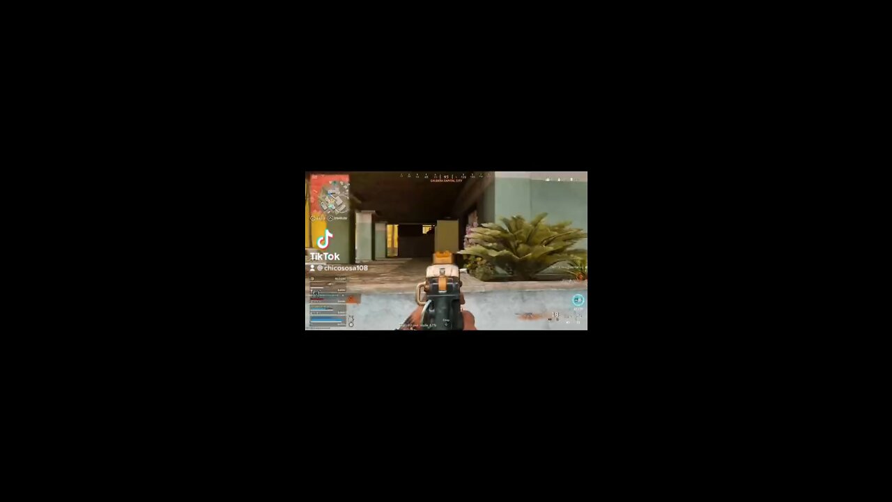 Warzone clip
