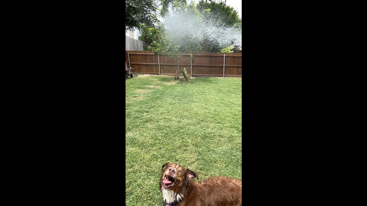 Sierra trying to get that hose