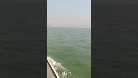 Mumbai Sea #mumbai #indianseafood #sea #india #ytshorts #instareels #fbreels #viralreels #viral