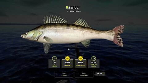 Russian Fishing 4 Ladoga Archipelago Zander 4 . 245 Kg