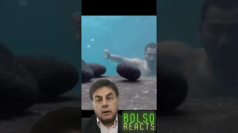 Bolsonaro Reacts - Bolso Reacts #2 #shorts