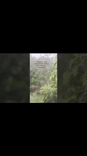 The Strength of a Woman: A Woman is Like a Tea Bag