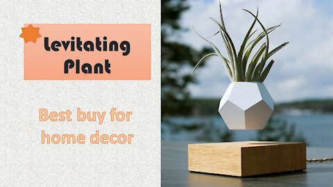 Levitating Plant Best home decor to buy