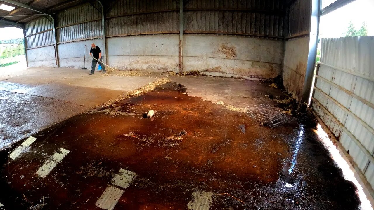 OLD BARN FULL OF MUCK & NASTINESS POWERWASHED AWAY - Now it's CLEAN and Bright!