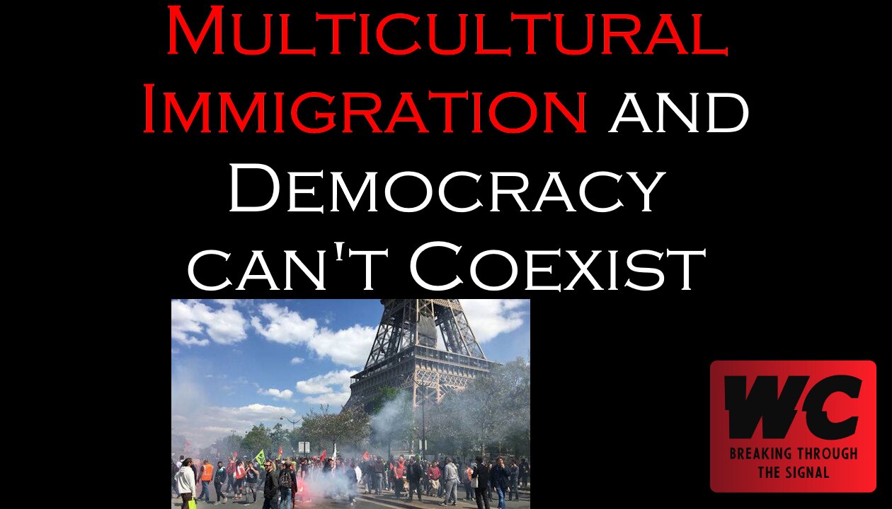 Multicultural Immigration and Democracy can't Coexist