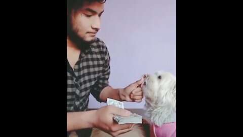 Funny Video of Aman And His Dog
