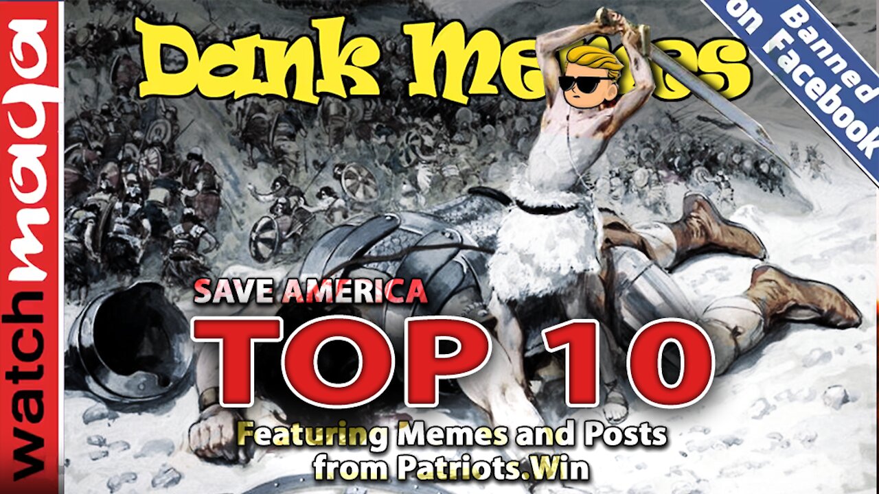 TOP 10 MEMES Save America