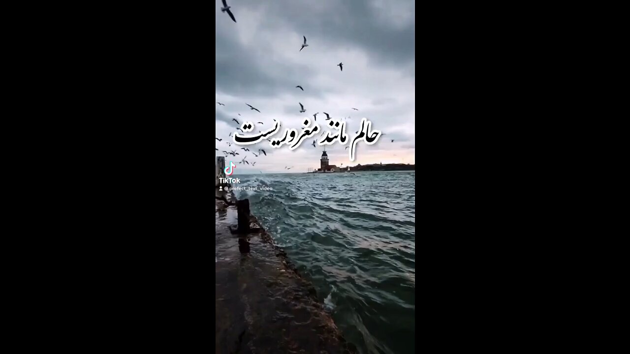 حالم مانند مغروری است