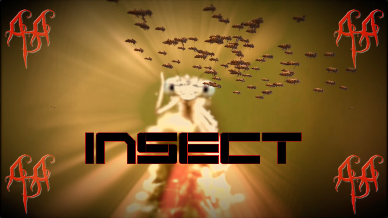 "Insect" - A music video by Robert Dada