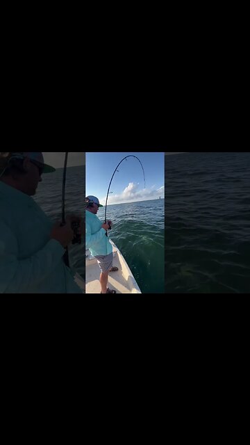 I Fished A Huge Bait Next To An Oil Rig Then This Happened #monsterfishing #wildlife #bassfishing