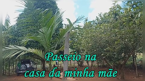 PASSEIO NA CHÁCARA DOS MEUS PAIS NA VICINAL 16/ VIDA SIMPLES DA ROÇA