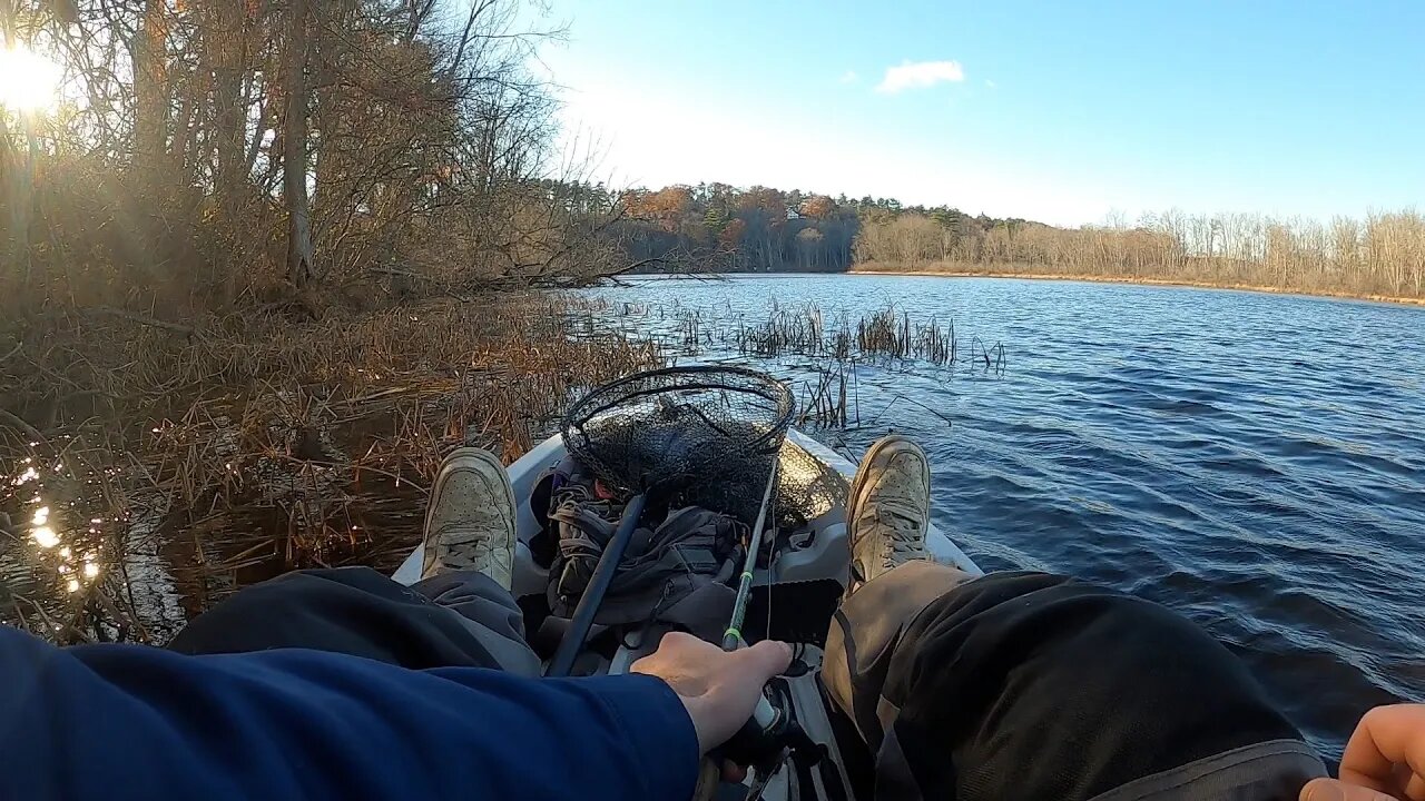 Z-Man Project Z Weedless Chatterbait -- Winter Bass Fishing