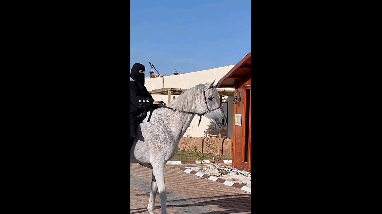 arab women riding horse 2