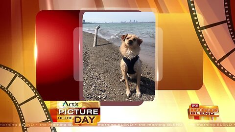 Art's Cameras Plus Picture of the Day for August 15!