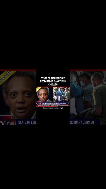 STATE OF EMEREGENCY Declared In Sanctuary Chicago