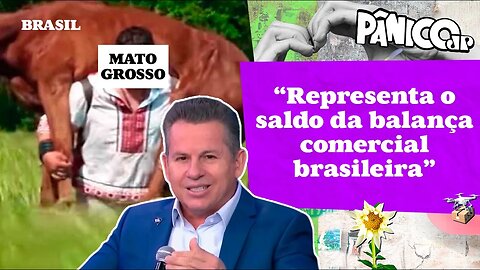 O AGRO EM MATO GROSSO É POP? MAURO MENDES RESPONDE