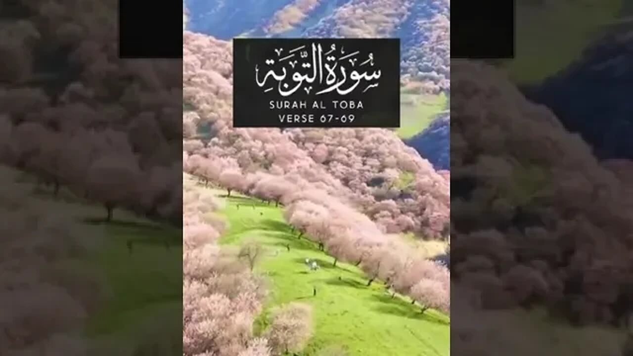 Surah Toba # safezonemonitor.com
