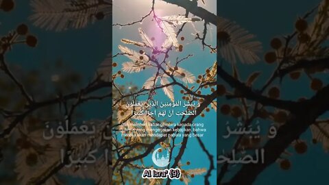 Al Isra [9] #islam #islamicvideo #quran #shorts