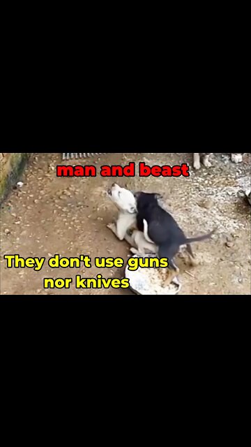 they don't use guns and knives but that is the difference between man and beast