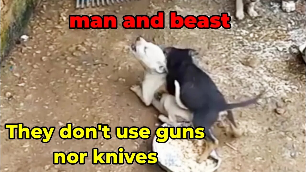 they don't use guns and knives but that is the difference between man and beast