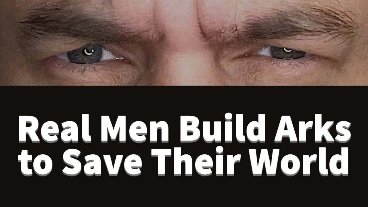 Men, be like Noah and build an ark to save your family and world