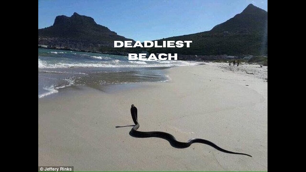 5 Deadliest Beaches in the World