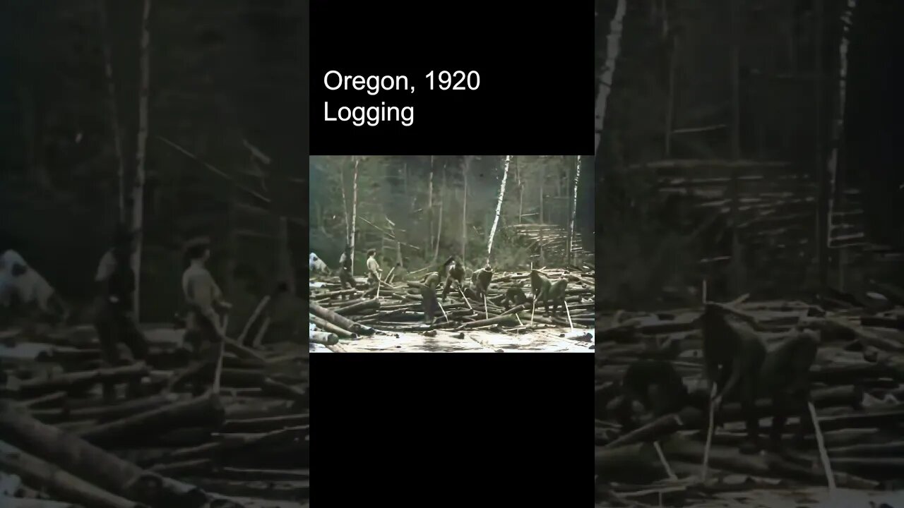 Logging in Oregon 1920 [RESTORED FOOTAGE] AI Enhanced, 60fps