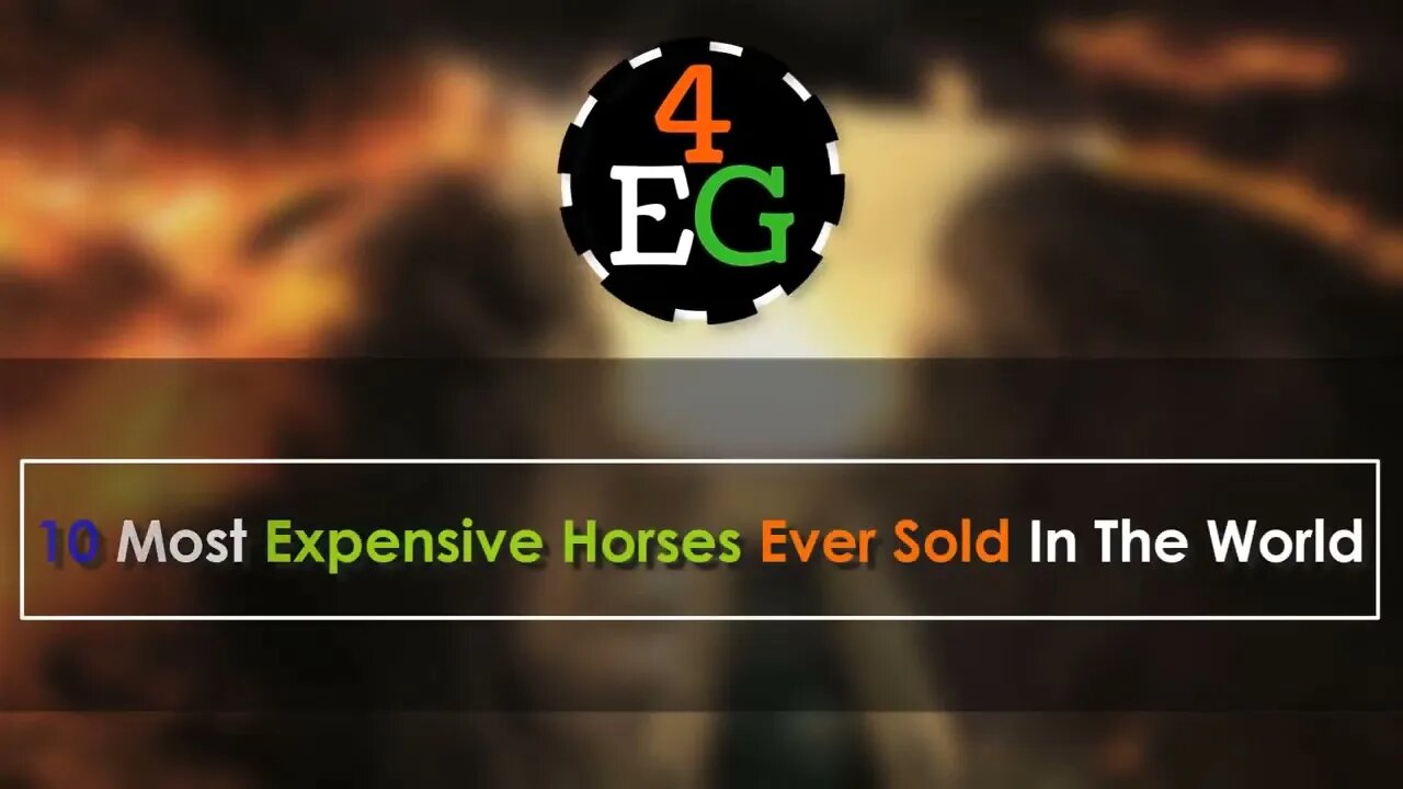 10 Most Expensive Horses Ever Sold In The World