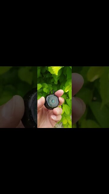 VORTEX Rodin Coil Pendant ⚛ Email us: sasorgonite1@gmail.com