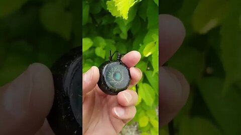 VORTEX Rodin Coil Pendant ⚛ Email us: sasorgonite1@gmail.com
