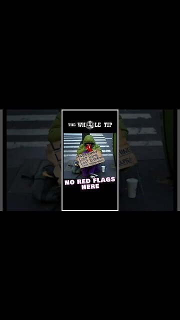 NO RED FLAGS HERE #shorts #short #shortvideo #status