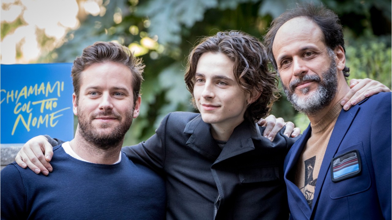 Armie Hammer Unsure About A ‘Call Me By Your Name’ Sequel