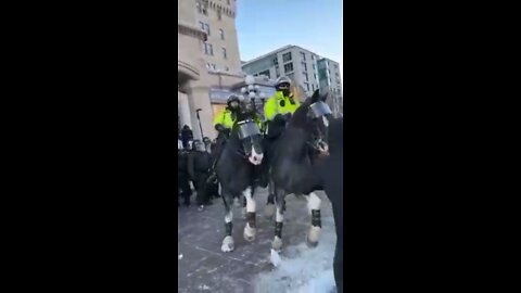 In Ottawa, police trample over a women with their horse.