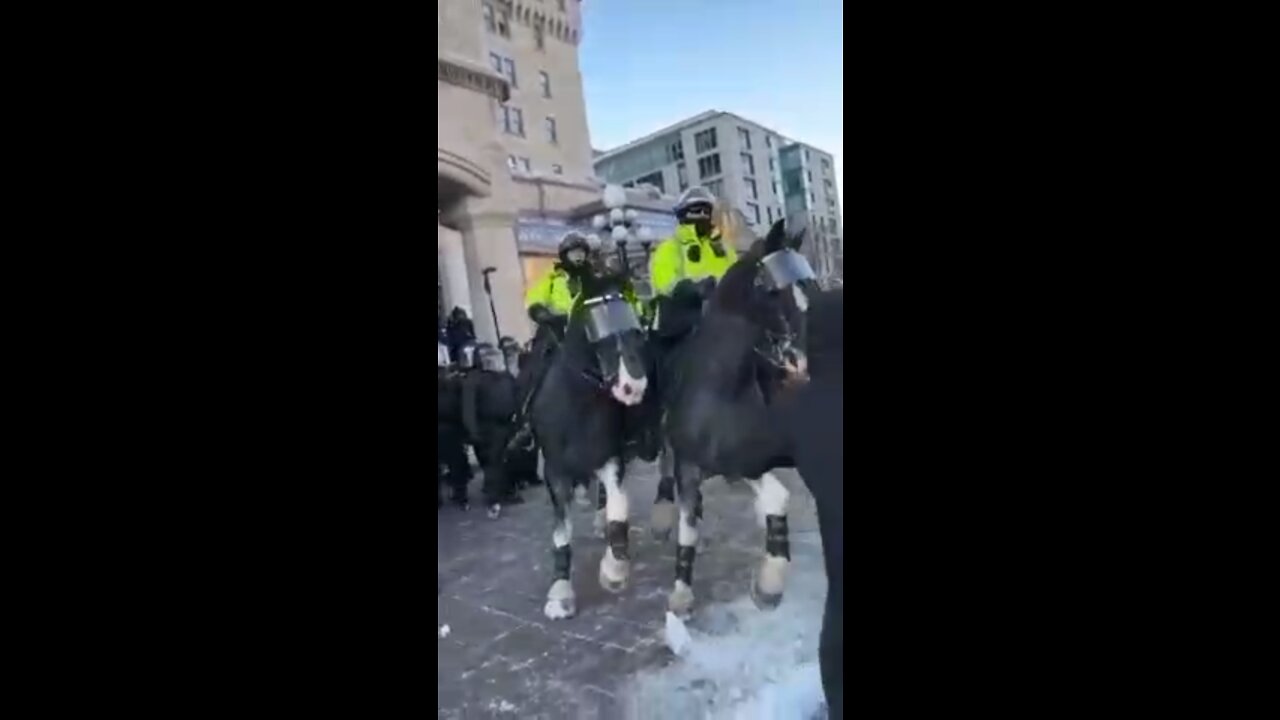 In Ottawa, police trample over a women with their horse.