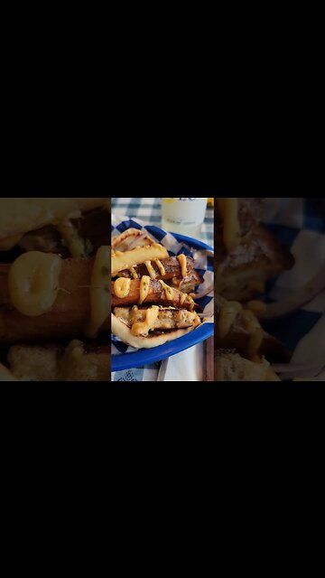 Greece Lightning Gyro & Souvlaki Grill Chicken Gyro