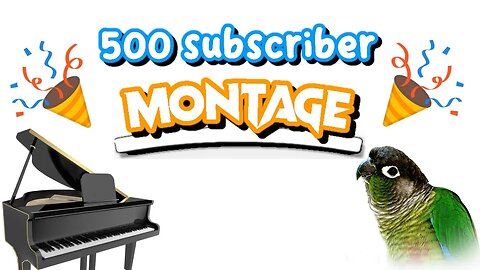 500 Subscriber Montage