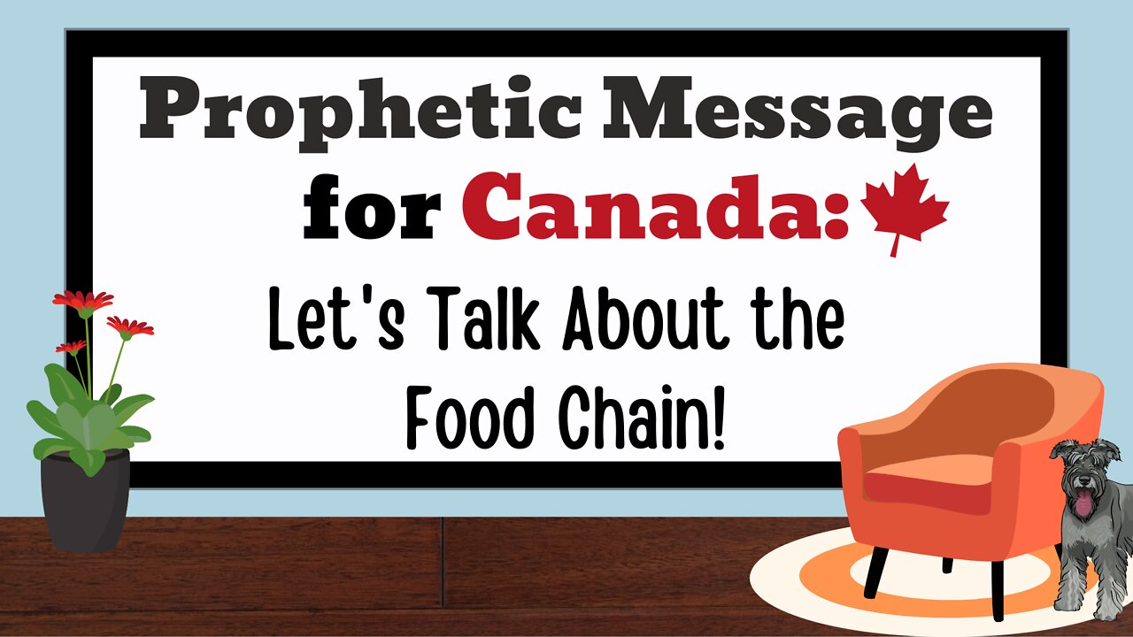 Let's Talk About the Food Chain!