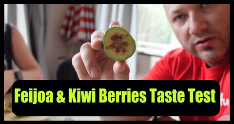 Feijoa & Kiwi Berries Exotic Fruit Taste Test!! Family Food Review