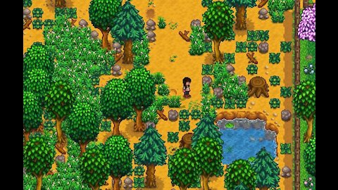 Will there be a 'Stardew Valley 2'?