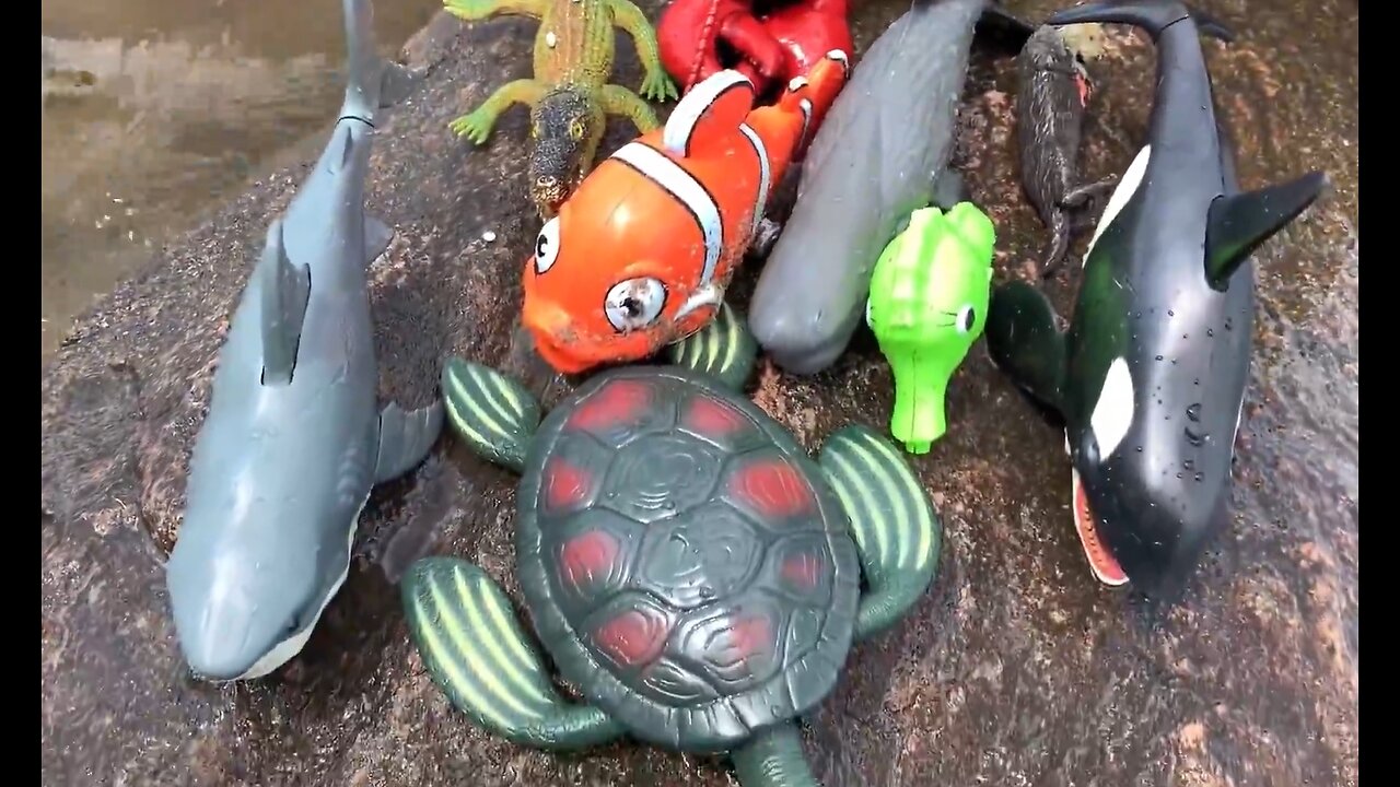 Cute Animal Toys at the Shore