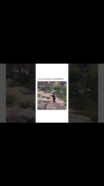 Bro said hand that over & quit playing with me 😂😂😂 #shorts #subscribe #viral #shortvideo #reels