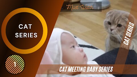 Cats Meeting Babies for first time - 1