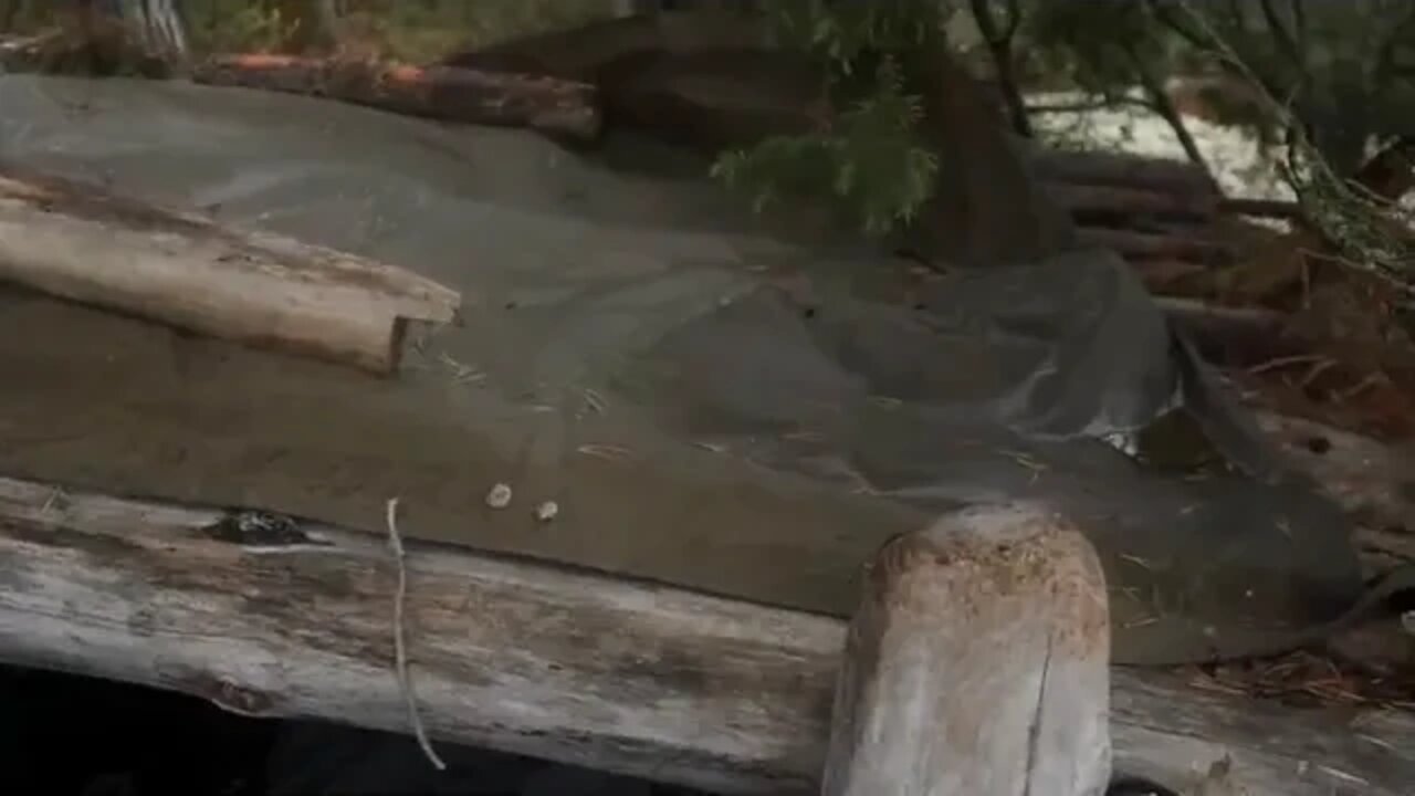 18 🌧️Camping in RELAXING RAIN My Cozy Bushcraft Shelter on an Island Rain Sounds ASMR