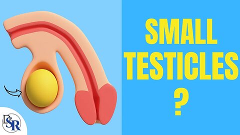 Are My Small Testicles 𝗕𝗮𝗱 𝗙𝗼𝗿 𝗠𝘆 𝗛𝗲𝗮𝗹𝘁𝗵 & How Can I Grow Them?