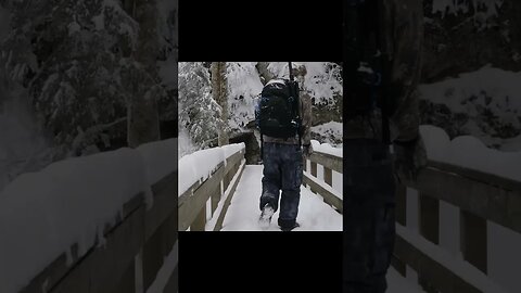 Do You Like Hiking In Winter? #shorts #shortsvideo #hiking #hikingadventures
