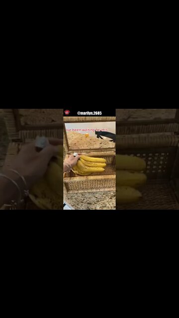 Fruit Storage Baskets #organizationtiktok #organizedhomes #homeorganizer #shorts