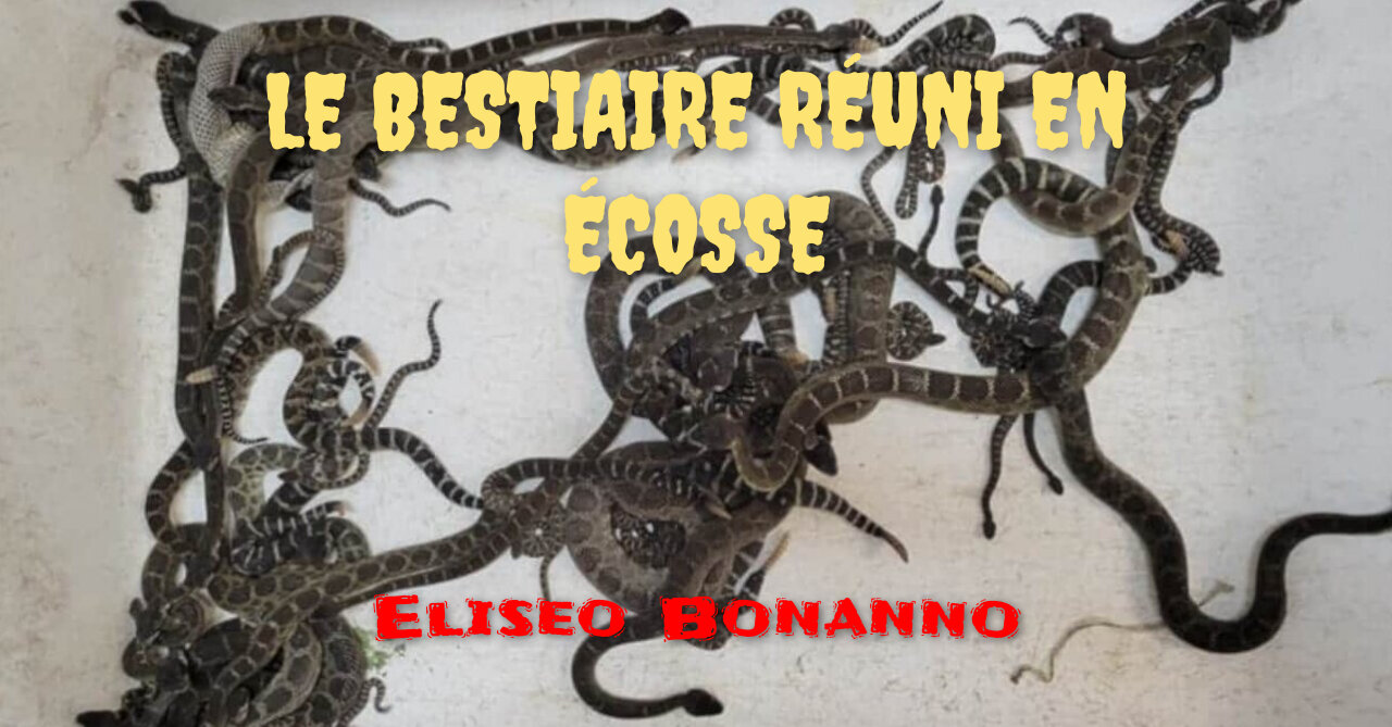 COMMUNICATION À LA COP26, LE BESTIAIRE RÉUNI EN ÉCOSSE.
