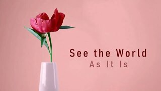Spotify Apple Music Teaser